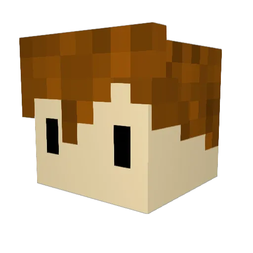EnigmaRW Minecraft avatar head, 3D render