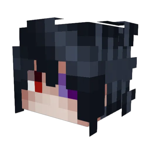 EnigmaSeal Minecraft avatar head, 3D render