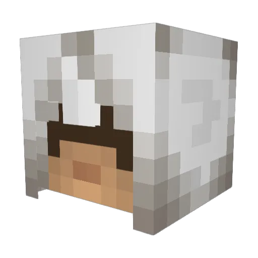 Enigma_Optimist Minecraft avatar head, 3D render