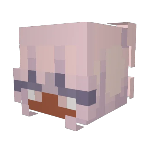 Enigmaes Minecraft avatar head, 3D render