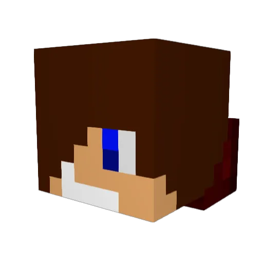 Enigmarino Minecraft avatar head, 3D render
