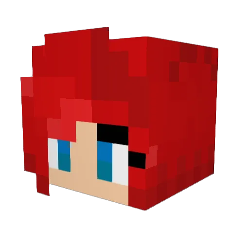 EnigmaticMander Minecraft avatar head, 3D render