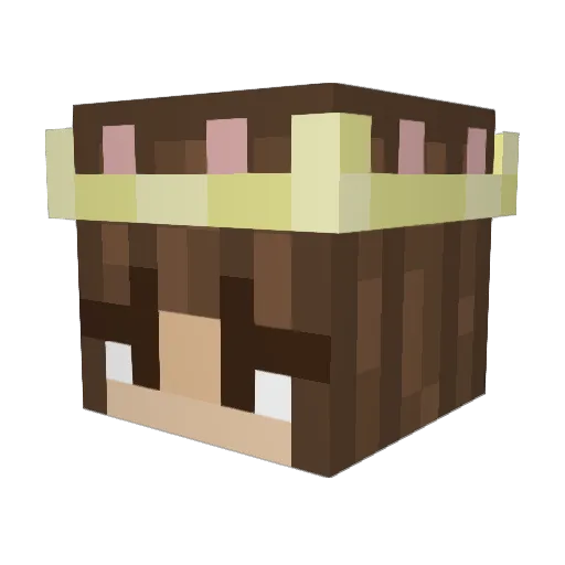 Enija22 Minecraft avatar head, 3D render