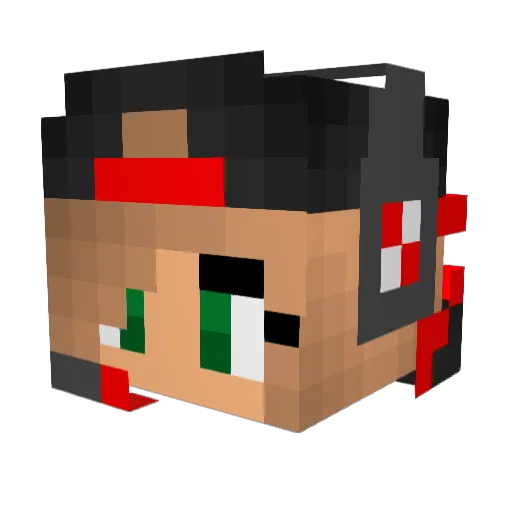 Enika911 Minecraft avatar head, 3D render