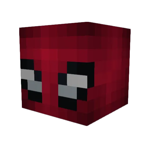 Enirgyz Minecraft avatar head, 3D render