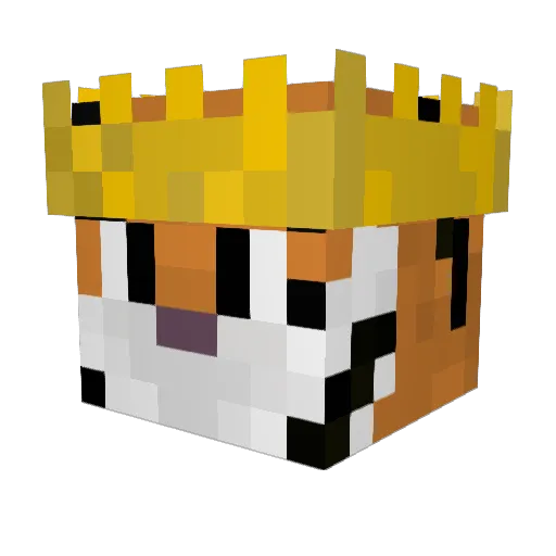 Enj0y42 Minecraft avatar head, 3D render