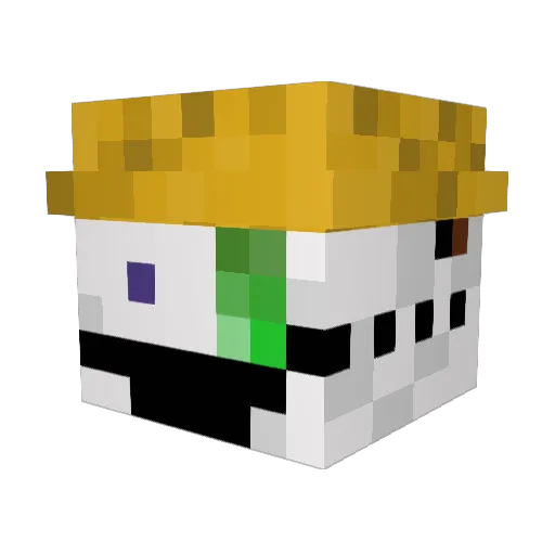 Enjoi_Boi Minecraft avatar head, 3D render