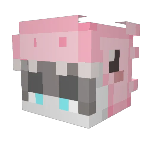 Enjoi_Etwan Minecraft avatar head, 3D render