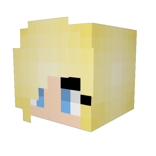 EnjoyCooking_PvP Minecraft avatar head, 3D render