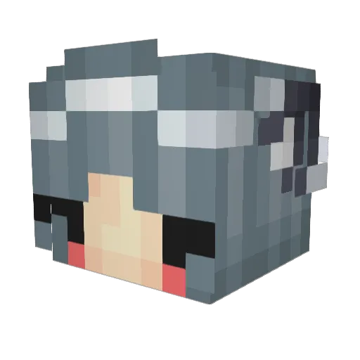 EnjoyDeathScreen Minecraft avatar head, 3D render