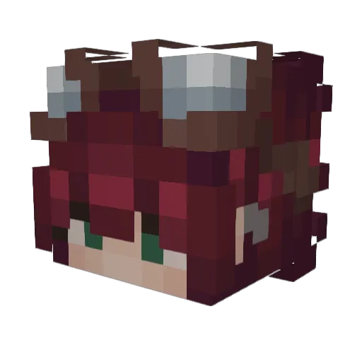 EnjoyMySkillHack Minecraft avatar head, 3D render