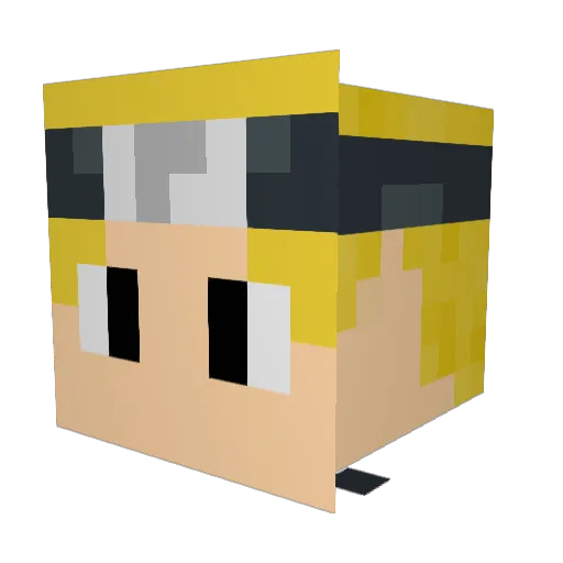 EnjoyTahtCombo Minecraft avatar head, 3D render