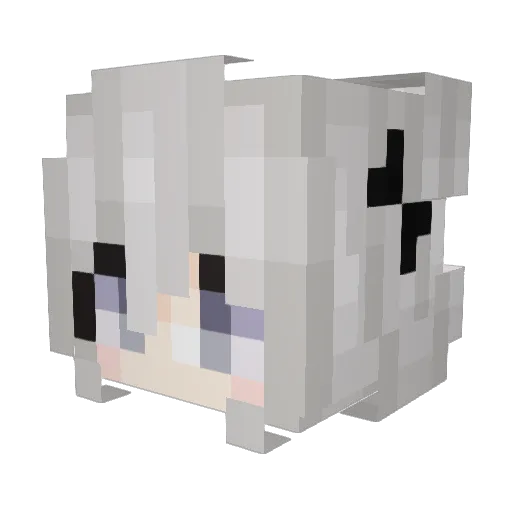 Enjoycola Minecraft avatar head, 3D render