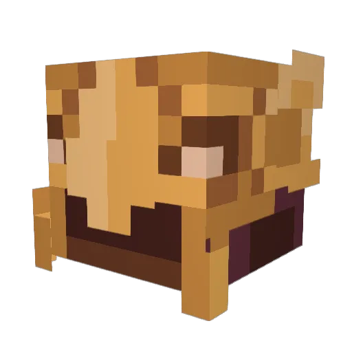 Enjoylosing Minecraft avatar head, 3D render