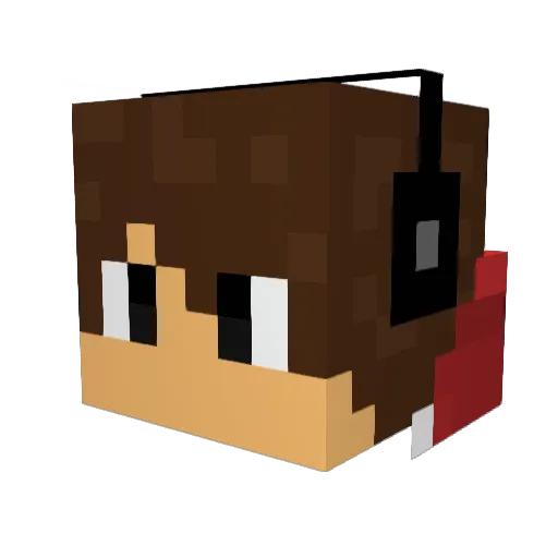 EnjoymyBowSkill Minecraft avatar head, 3D render