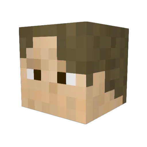 Enk_TheMan Minecraft avatar head, 3D render