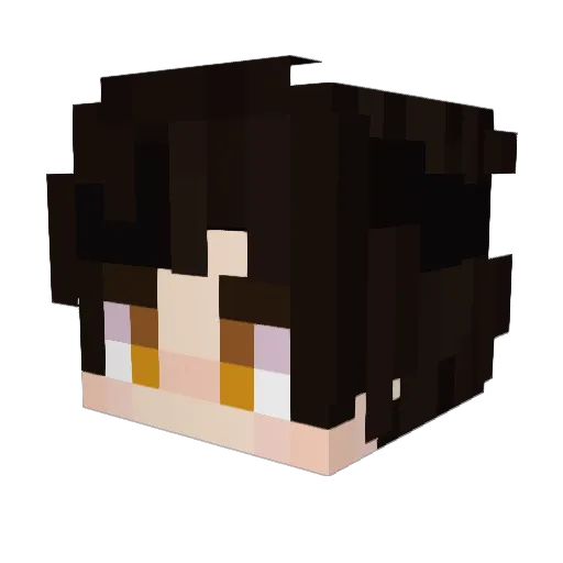 Enk__ Minecraft avatar head, 3D render