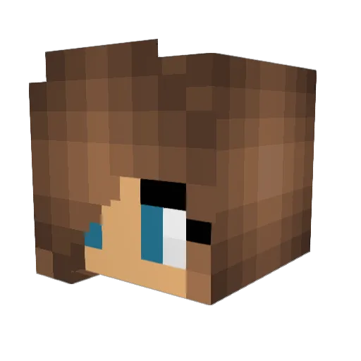 Enkelbijter Minecraft avatar head, 3D render