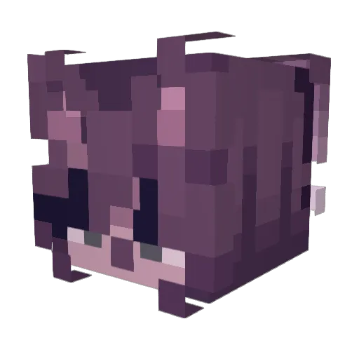 Enki8457 Minecraft avatar head, 3D render