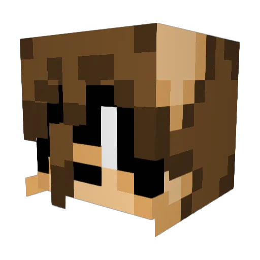 Enkitutu Minecraft avatar head, 3D render