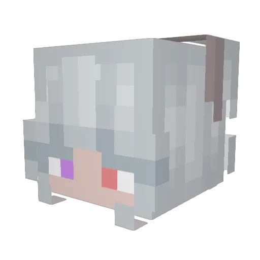Enn_Yuki Minecraft avatar head, 3D render