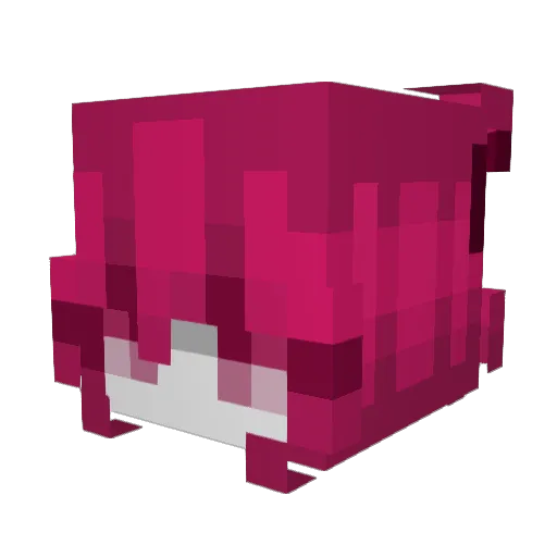 Enni_T Minecraft avatar head, 3D render