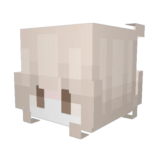Ennisdelmar Minecraft avatar head, 3D render