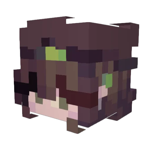 Ennovy76 Minecraft avatar head, 3D render