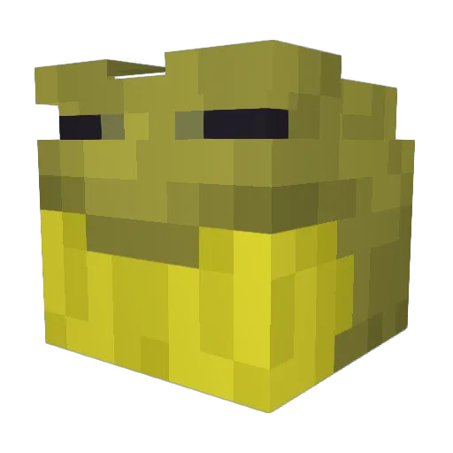 Enockus Minecraft avatar head, 3D render