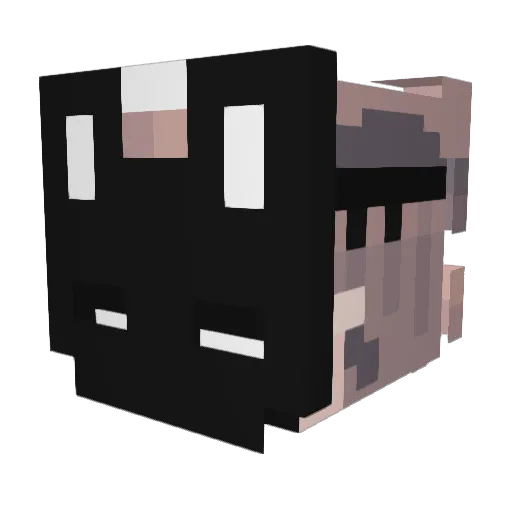 Enoirray Minecraft avatar head, 3D render