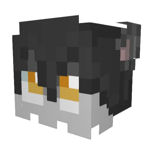 Enokiss Minecraft avatar head, 3D render
