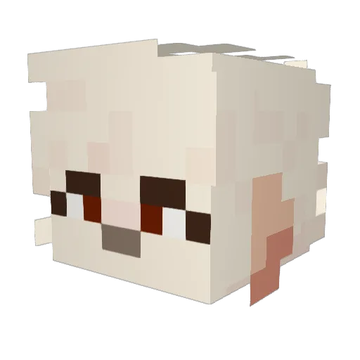 EnomisYT Minecraft avatar head, 3D render