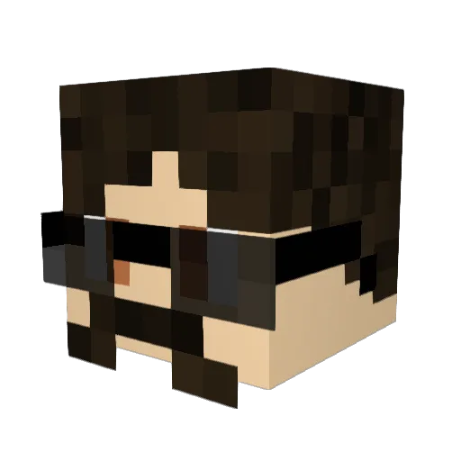 Enor16 Minecraft avatar head, 3D render