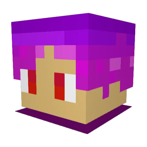 Enoraxu Minecraft avatar head, 3D render