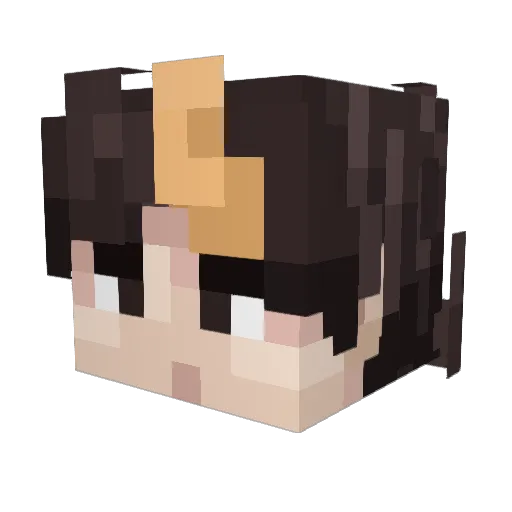 Enot_Love Minecraft avatar head, 3D render
