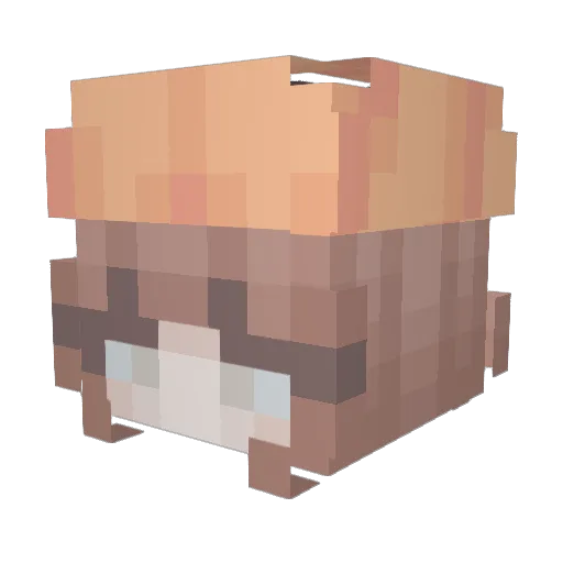 Enotik1809 Minecraft avatar head, 3D render