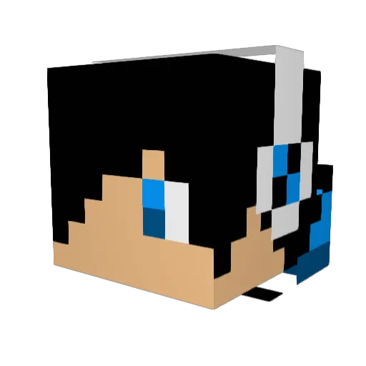 Enotka2000 Minecraft avatar head, 3D render
