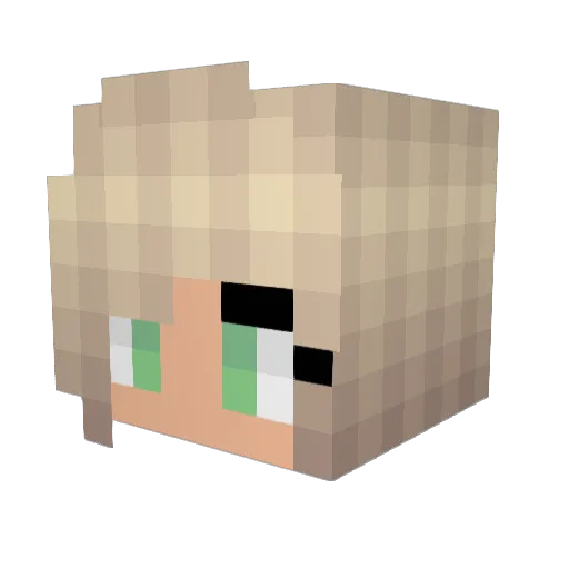 EnoughAsh Minecraft avatar head, 3D render