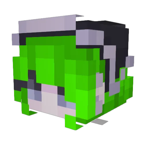 Enoughlove4dayz Minecraft avatar head, 3D render