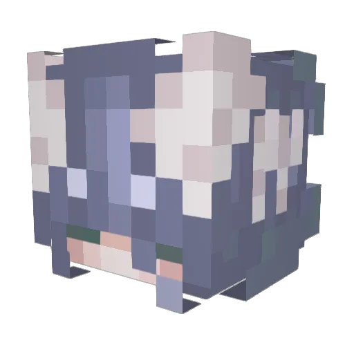 Enqiii Minecraft avatar head, 3D render