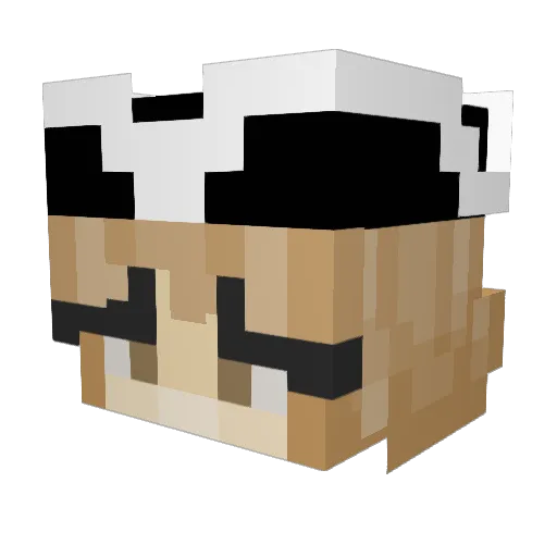 Enqvist Minecraft avatar head, 3D render