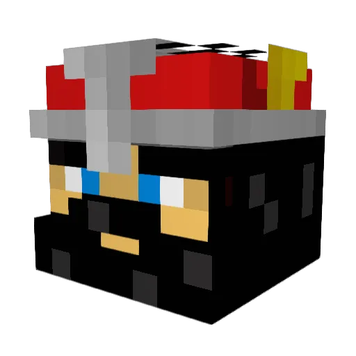 EnragedDuck Minecraft avatar head, 3D render