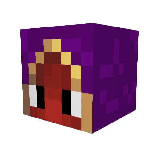 EnragedTourist69 Minecraft avatar head, 3D render