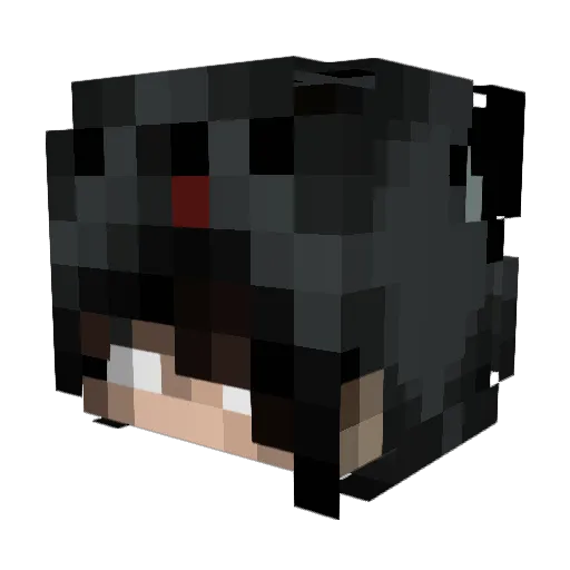 Enrange Minecraft avatar head, 3D render