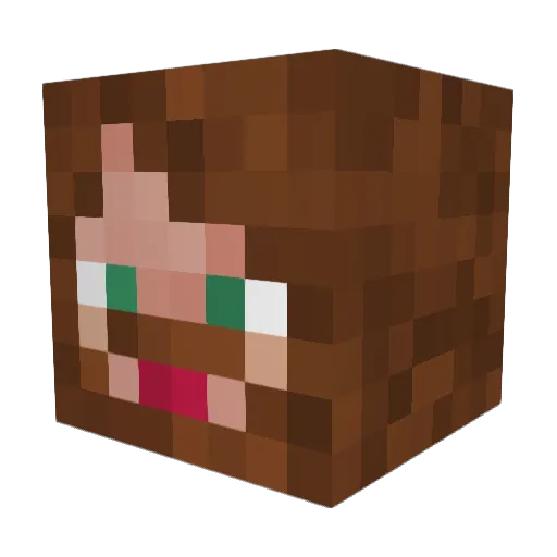 Enricoen Minecraft avatar head, 3D render