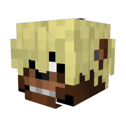 EnriquePapi777 Minecraft avatar head, 3D render