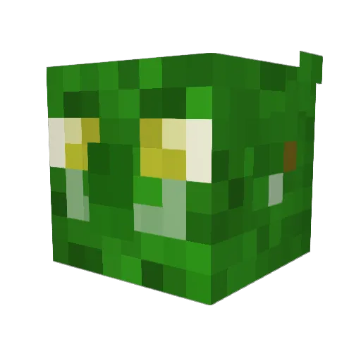 Enriquitin Minecraft avatar head, 3D render