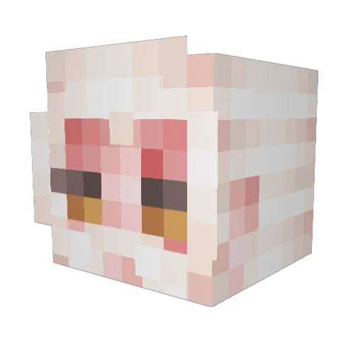 Enriranjan Minecraft avatar head, 3D render