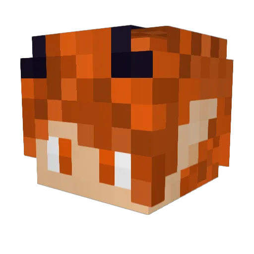 EnriteBA Minecraft avatar head, 3D render