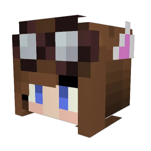 Enrixe Minecraft avatar head, 3D render